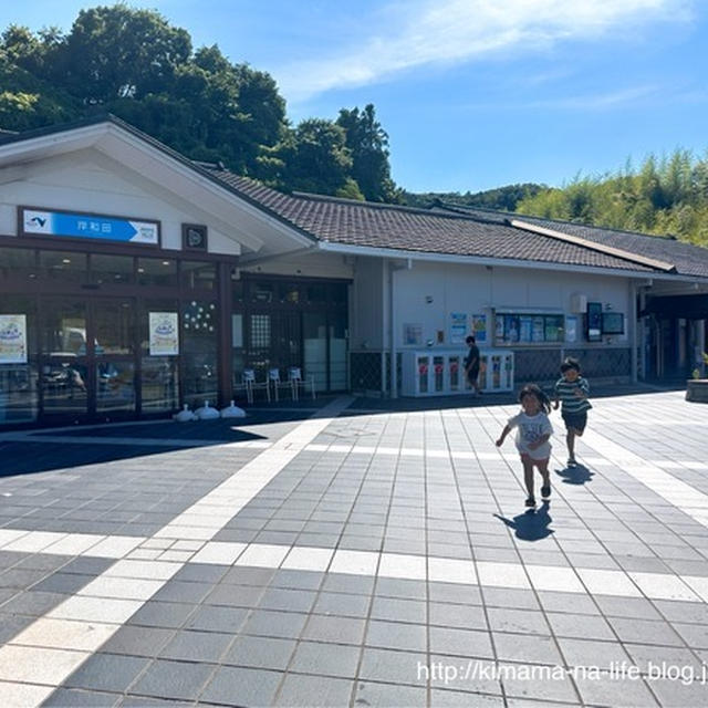 やばぁ〜。な日々。と　和歌山旅行記2024〜1日目〜