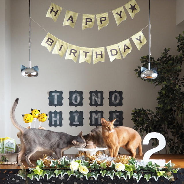 とのひめ、２歳のお誕生日会（猫缶ケーキレシピ付き）
