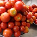家庭菜園のトマトで保存食