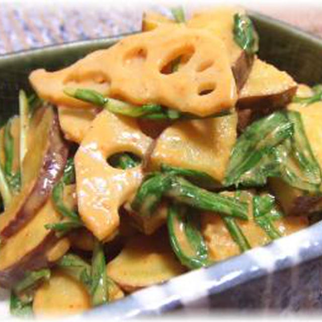 根菜のコチュマヨサラダ