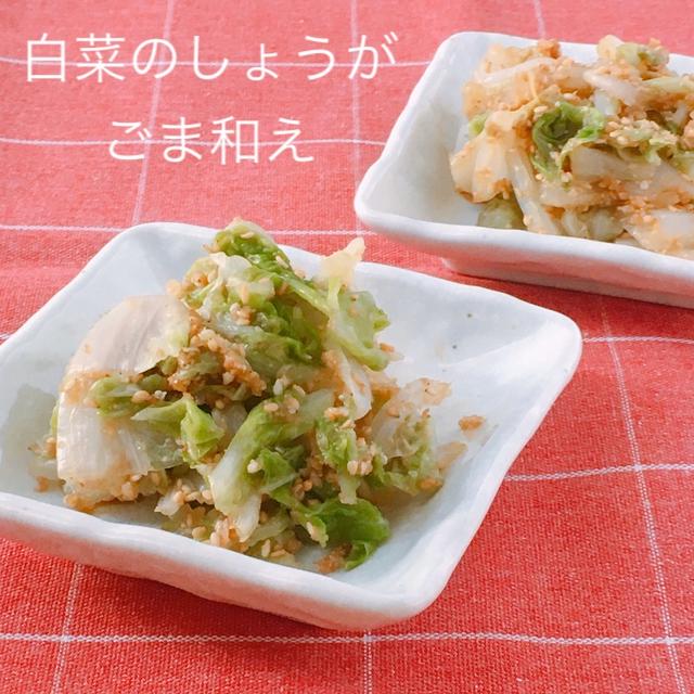 【白菜で簡単つくりおき】白菜のしょうがごま和え*献立付き