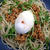 Natto Pasta納豆パスタ