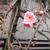 啓蟄・梅の花・フロランタン