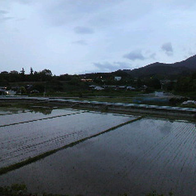散歩