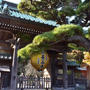 長谷寺①1300年ってすごい。弁天窟は素晴らしくて感動でした。