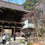 桜とお寺と朝の空気