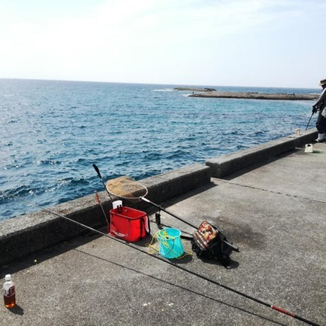 ガシラはいくらでも釣れるな〜。
