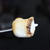 なにかと話題になる？スモア。S'more