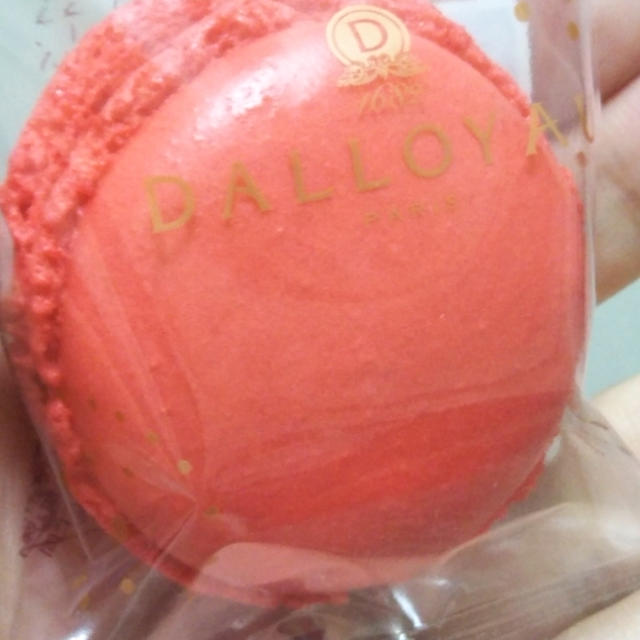 216円の幸せ☆DALLOYAU（ダロワイヨ）のマカロン