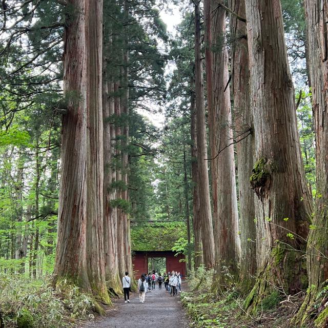 ながの旅。2日目  戸隠へ