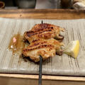 【目黒】 日本一予約のとれない焼き鳥師のお弟子さんの店「鳥かど」でプレミアム体験