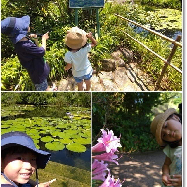 【モネの庭】家族で高知と香川と岡山へ。。。４歳児姫、親戚の方に大変そうだと言われ…