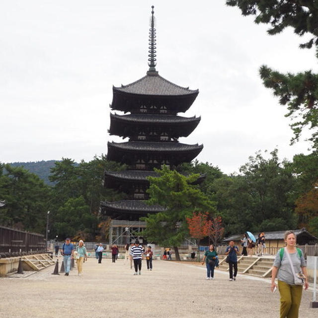 秋のひとっ走り旅。奈良公園散歩 とか。