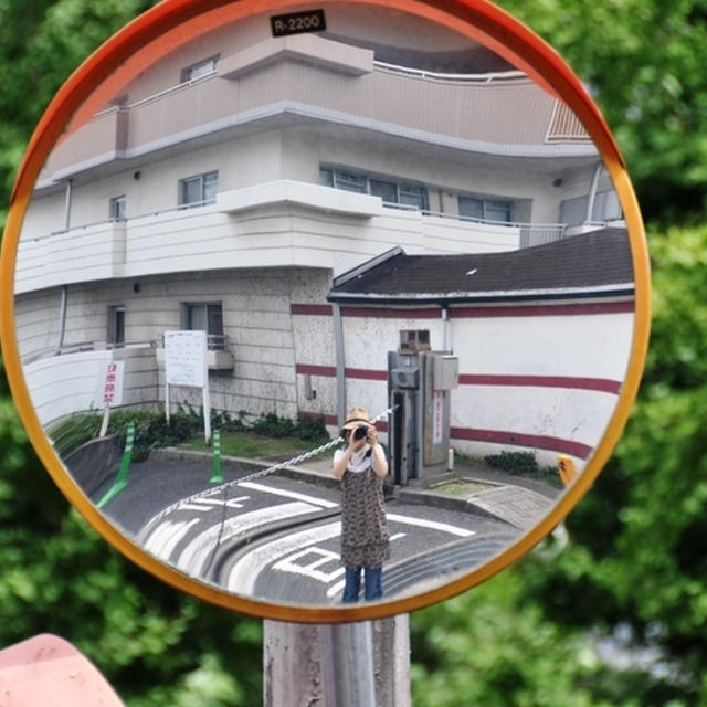 暑中見舞い申し上げます。