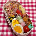 6月15日＊今日は娘のスクーリング弁当♩♩♩