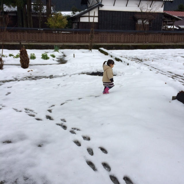 福井です。食べ続けてます。
