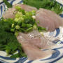 【旨魚料理】フッコの刺身