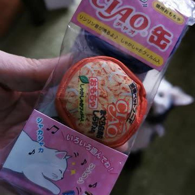 さて気に入るでしょうか…