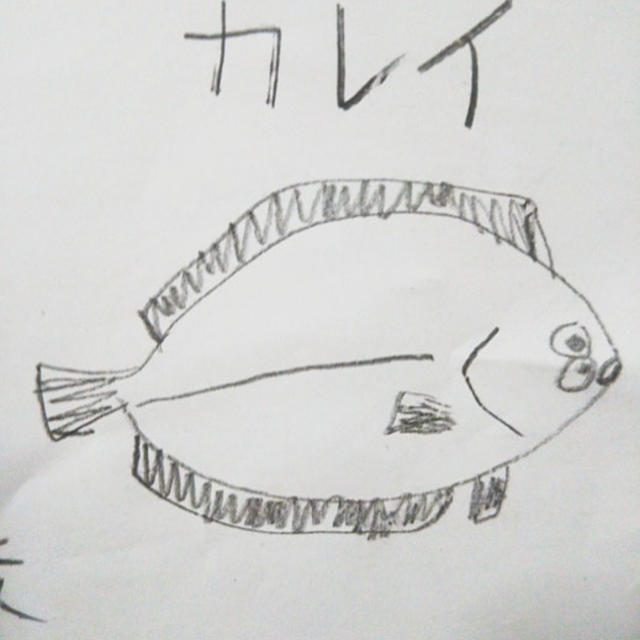 育児☆子どもの宿題の手伝いでカレイを描いた