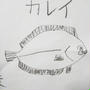 育児☆子どもの宿題の手伝いでカレイを描いた