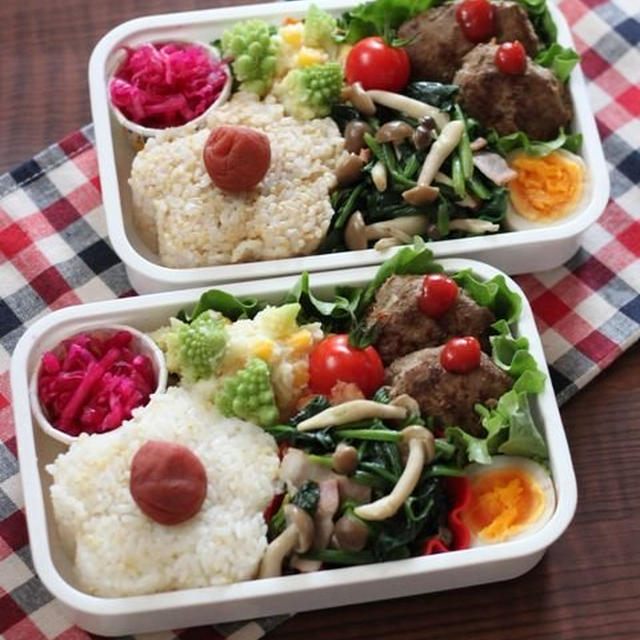 ミニハンバーグ弁 ✿ ｲﾗﾌﾞﾁｬｰとｵｼﾞｻﾝのから揚げ(๑¯﹃¯๑)♪