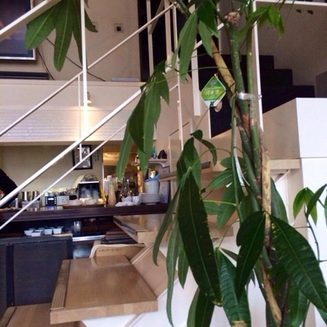 一宮市 CAFEbanyantree