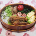 今週のお弁当いろいろ・タルタル南蛮チキンタツタ・庭の花♪