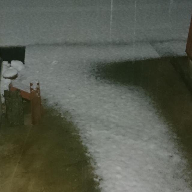 遂に積雪と微妙なアレコレ