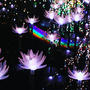 【Instagram】想像以上に美しいイルミネーションでした#あしかがフラワーパーク#ashikagaflowerpark #illumination