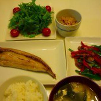 今日の夕食