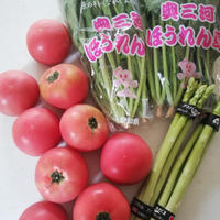 JA愛知〜たっぷりお野菜いただきました