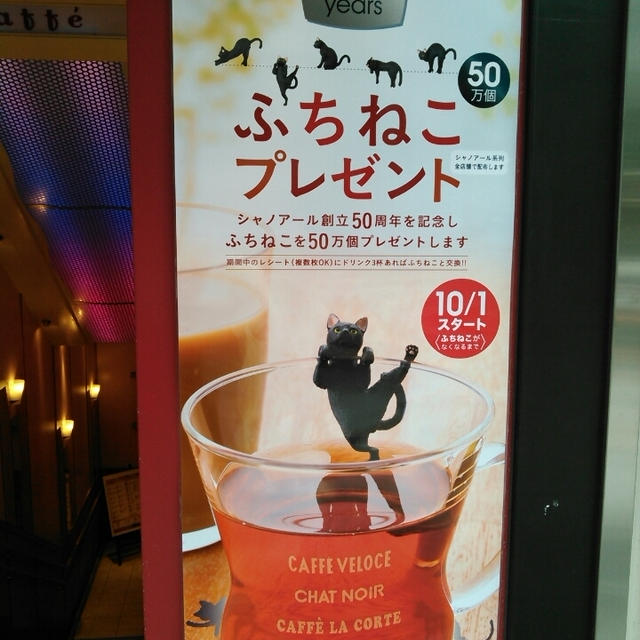 ふちねこプレゼント中～ベローチェ