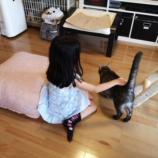 子供たち　猫ちゃんと戯れる