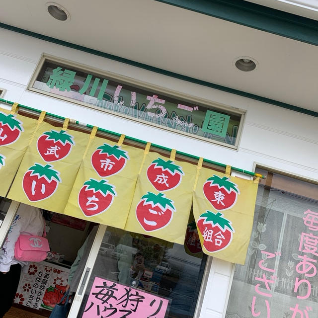 いちごロードでいちごを買ってきました