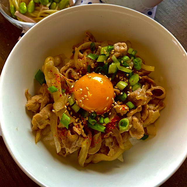 似て非なる丼、豚丼とプルコギ丼