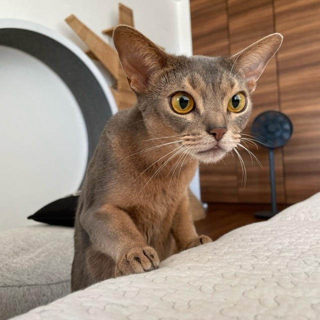 敵はショボかった(๑¯◡¯๑)