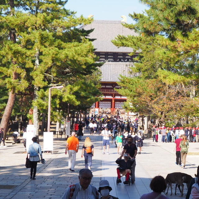 いざいざ奈良。東大寺にも行ってみました！