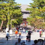いざいざ奈良。東大寺にも行ってみました！