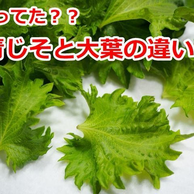 知ってた？？青じそと大葉の違い！