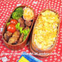 今日のOBENTOは 揚げ物弁