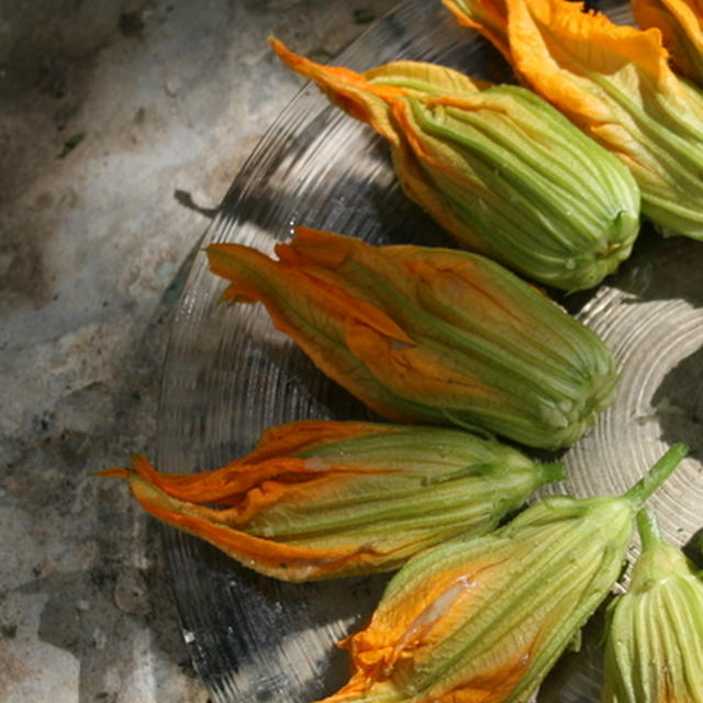 ズッキーニの花のお惣菜風鶏挽肉ファルシー　餡かけ