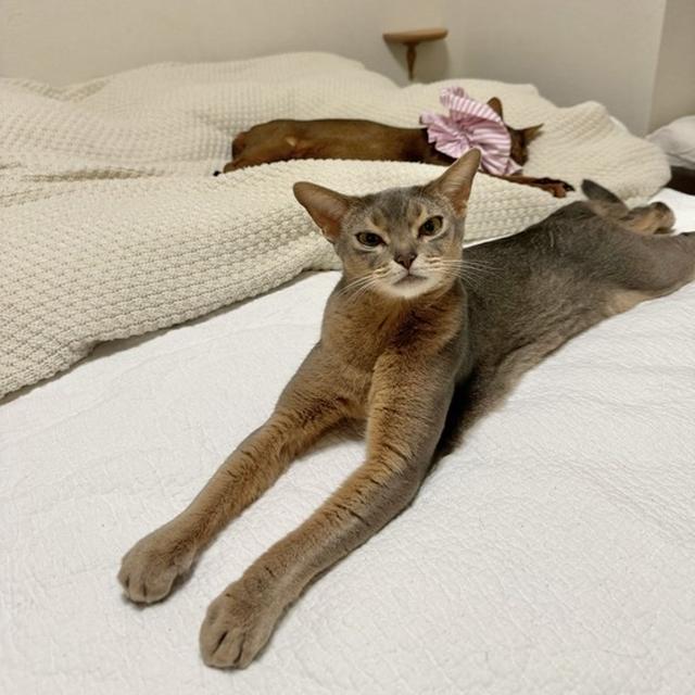 伸び伸びねる