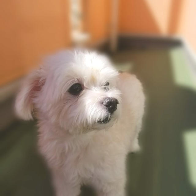 こっちゃん