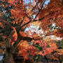 京都2日目は嵐山と南禅寺に行きます。