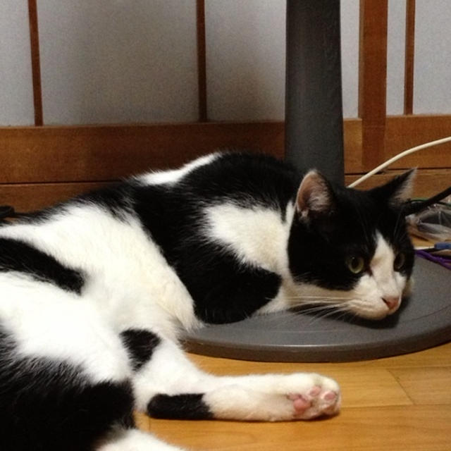 そらと扇風機