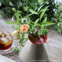 「お花の定期便」で日常に彩りを♡ Bloomee LIFE～vol.3  