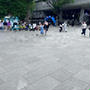 【バレエ】東京バレエ団『白鳥の湖』見てきました～