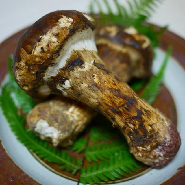 松茸ごはん と 松茸の土瓶蒸し と 秋刀魚の塩焼き