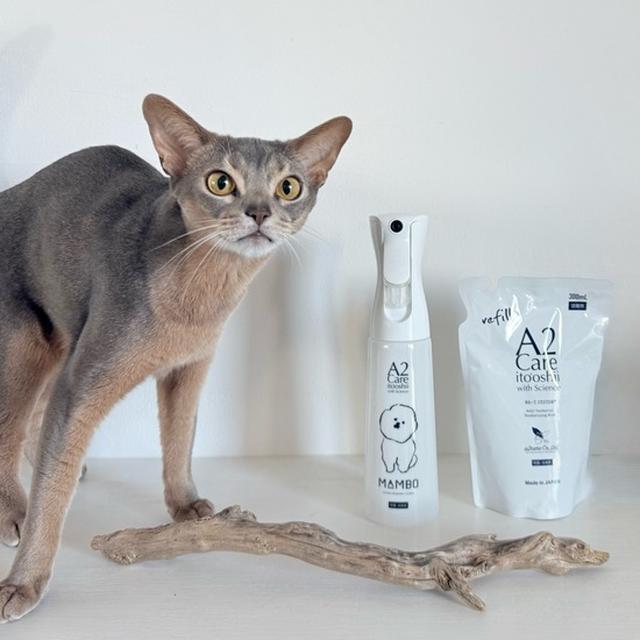 【PR】獣医師が推奨する除菌消臭スプレー「A2Care」のMAMBOボトルがかわいい