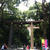 明治神宮お礼参り